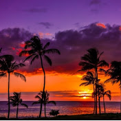 Profile Picture of Jessica Michell (@jessicamichell4937) on Youtube