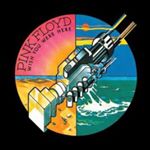 Profile Picture of Jeune Etre Vivant (@jerome_lafontaine) on Instagram