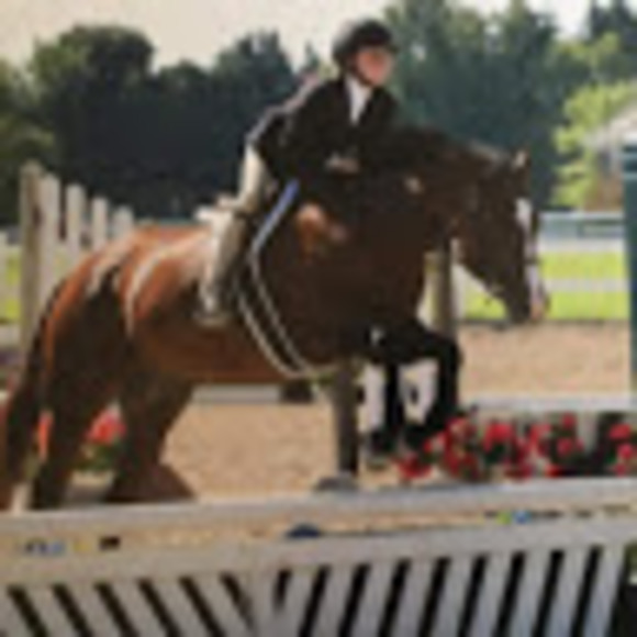 Profile Picture of Lauren Eiring (@2023leir) on Poshmark