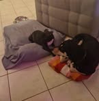 Profile Picture of Jonathan Baumann (@Jonathan-Baumann) on Facebook