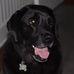 Profile Picture of Patrick Edmonds (@patrick.edmonds.562) on Facebook