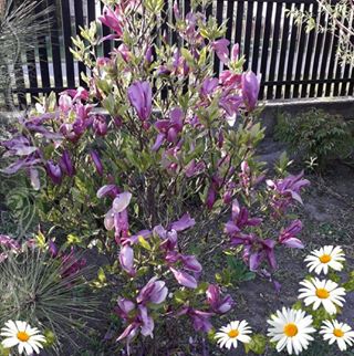 Profile Picture of Joanna Iwanowska (@joanna.iwanowska.3) on Facebook