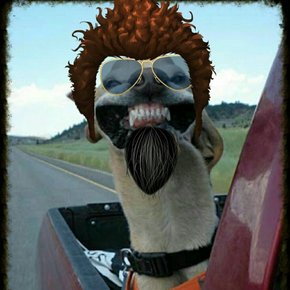 Profile Picture of Cheree Williams (@reewilliams) on Poshmark