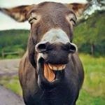 Profile Picture of Patrick Rutledge (@x_20player) on Instagram
