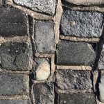 Profile Picture of ⠀⠀⠀⠀ ⠀⠀⠀⠀     ⠀ •Joe Rye• (@jpehrotography) on Instagram