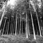 Profile Picture of FLOYD (@donnelly513) on Instagram