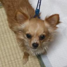 Profile Picture of Youngjoon Kim (@waxkim69jp) on Twitter