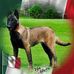 Profile Picture of Juan Arreola (@juan.arreola.92351) on Facebook