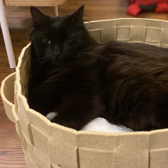 Profile Picture of Marleigh Hudlow (@marleighxantara) on Poshmark