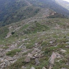 Profile Picture of Noor Ullah Amber (@janimand) on Twitter