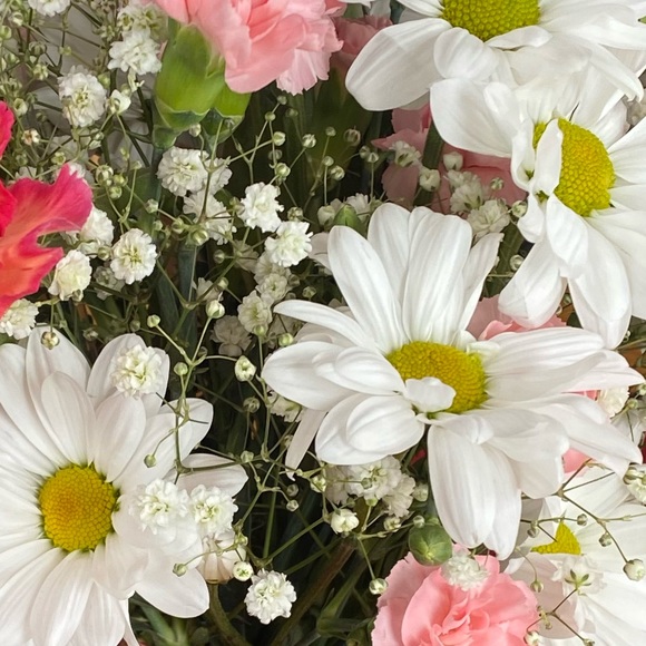 Profile Picture of Josie Boyd (@josieboyd557) on Poshmark