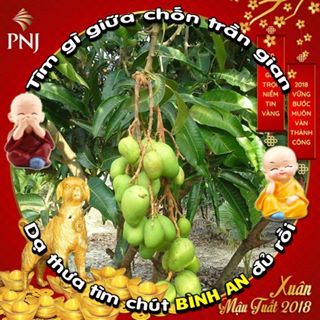 Profile Picture of Hoi Nguyen (@hoi.nguyen.980315) on Facebook