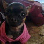 Profile Picture of Jeffra Barnes (@jeffrabarnes) on Instagram