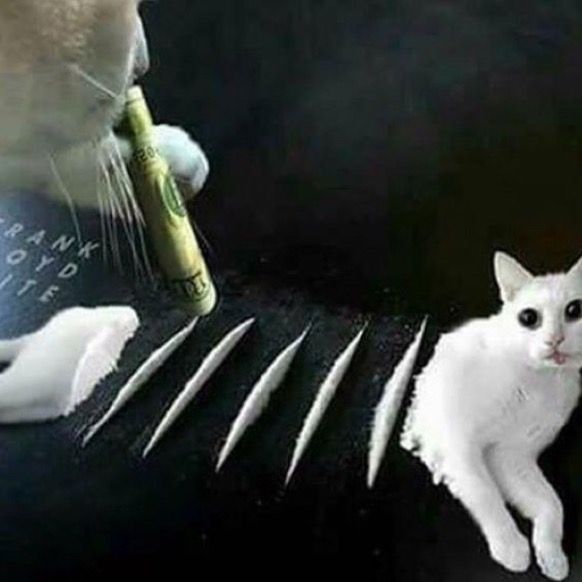 Profile Picture of Felicia🤎🫧 (@thefelicia_) on Tiktok