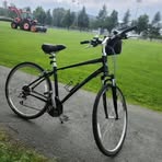 Profile Picture of Travis Adams (@Travis-Adams) on Facebook