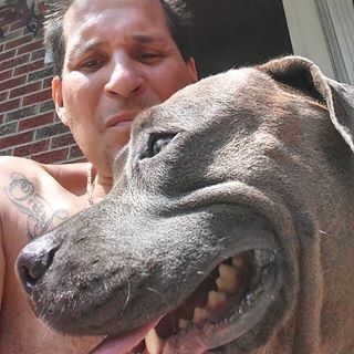 Profile Picture of Steven Alvarez (@steven.alvarez.54379) on Facebook