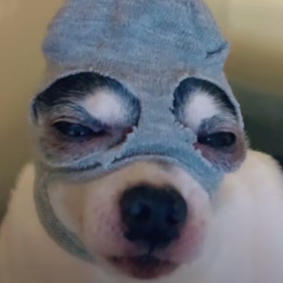 Profile Picture of Seth Magnusen (@justseth11) on Poshmark