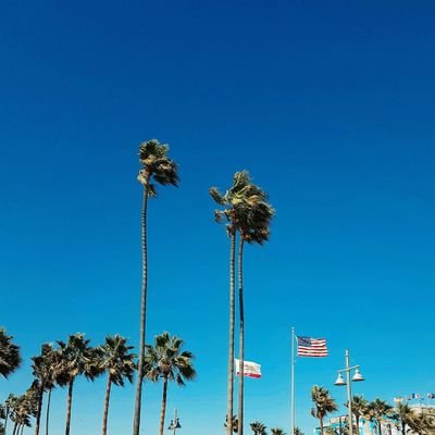 Charles Orr - Twitter Profile Picture of Charles Orr (@CharlieOrr) on Twitter