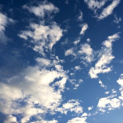 Profile Picture of Edwin (@qingyunliu1989) on Twitter