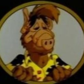 Profile Picture of Alf Is Innocent (@JacobCrum5) on Twitter