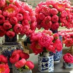 Profile Picture of Soojin Yoon (@soojinyooooon) on Instagram