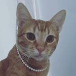 Profile Picture of Benito Fernando & Alejandro (@ninjas) on Instagram