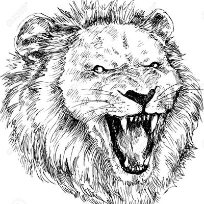 Profile Picture of Akeem Adams (@SlimTwisted) on Twitter