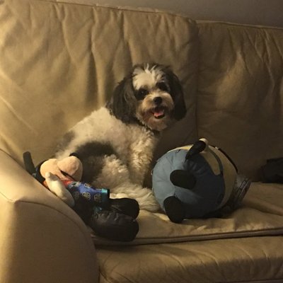 Profile Picture of Jeffrey Gao (@gao309091559) on Twitter