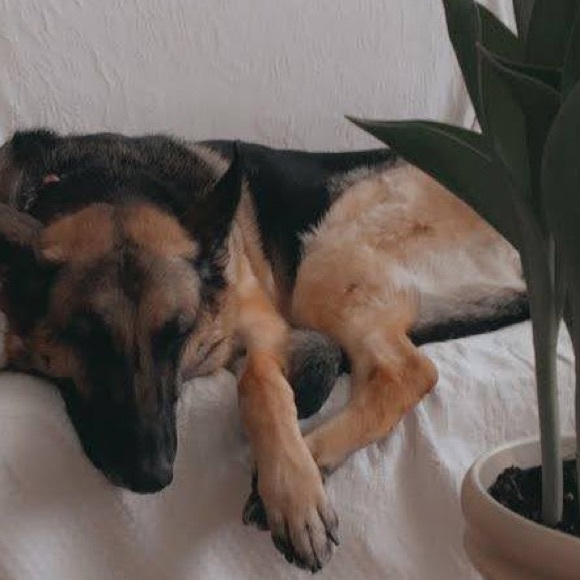 Profile Picture of Paige Benjamin (@paigehbenjamin) on Poshmark