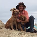 Profile Picture of Debra Pardee (@debrapardee) on Instagram