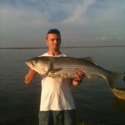 Profile Picture of Josh Laird (@turkeytalker12) on Twitter