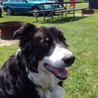 Profile Picture of Cassandra Packer (@cassandra-packer-1) on Quora