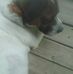 Profile Picture of Tracy Latta (@tracy.latta.54) on Facebook