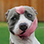 Profile Picture of Blumine (@blumine) on Flickr