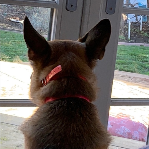 Steven Booras - Poshmark Profile Picture of Steven Booras (@stevenbooras) on Poshmark