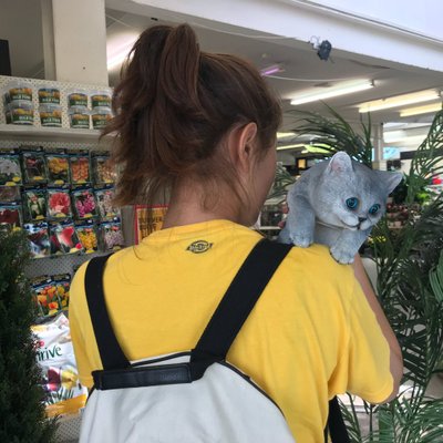 Profile Picture of Sophia Kwon (@sophiaakwonn) on Twitter