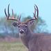 Profile Picture of Rodney Wilder (@rodney.wilder.397) on Facebook