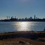 Profile Picture of Alice Severin (@severinaccess) on Instagram