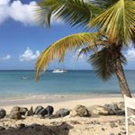 Profile Picture of Carol Cramer (@blessed.cramer) on Instagram