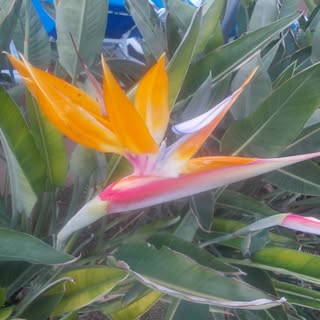 Profile Picture of tabatha yates (@tabatha_yates) on Instagram