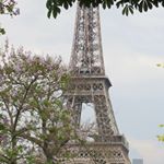 Profile Picture of Marsha Jacobs (@petalsinparis) on Instagram