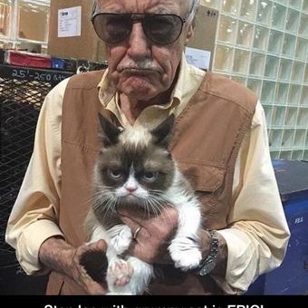 Profile Picture of Grossman (@Christopher9117) on Twitter