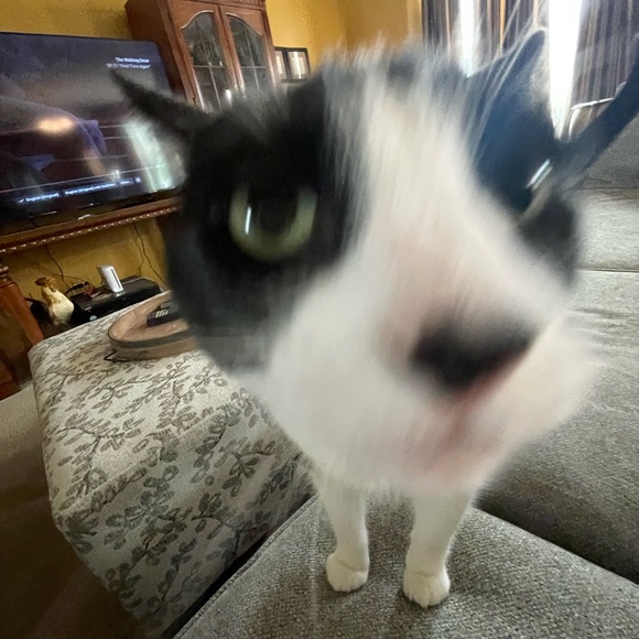 Profile Picture of Paige Summerhill (@psummerhill) on Poshmark