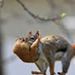 Profile Picture of Henry Crabtree-Mansur (@crabtreemansur) on Pinterest