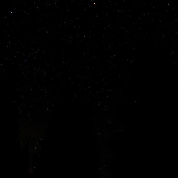 Profile Picture of Brent Davis (@porkchops743) on Poshmark