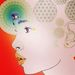 Profile Picture of Selena Alexander (@FunkyComfrey) on Pinterest