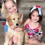 Profile Picture of Brandon Swanger (@brandonswanger) on Instagram