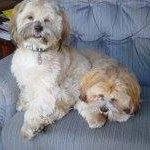 Profile Picture of Ruth Jesson (@ruthjesson) on Instagram