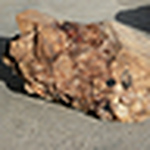 Profile Picture of Clark's Valley Dennis (@Clark's Valley Dennis) on Flickr