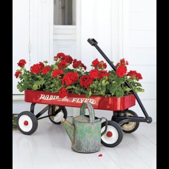 Profile Picture of Carol Doeren (@choclate03c) on Poshmark